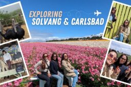 Solvang & Carlsbad Girls’ Trip: The Perfect California Weekend Getaway